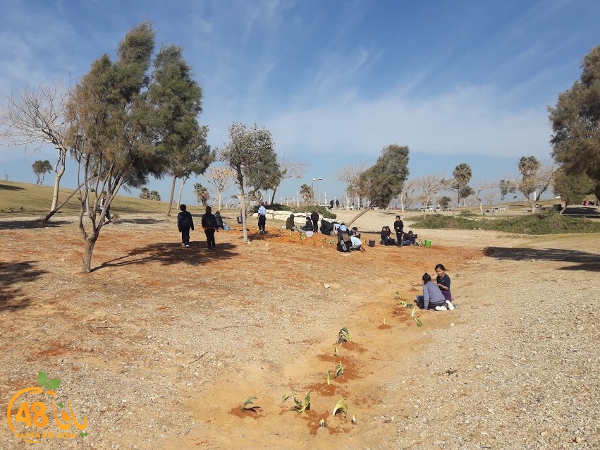 zr3 7san 3arafa (29).jpg